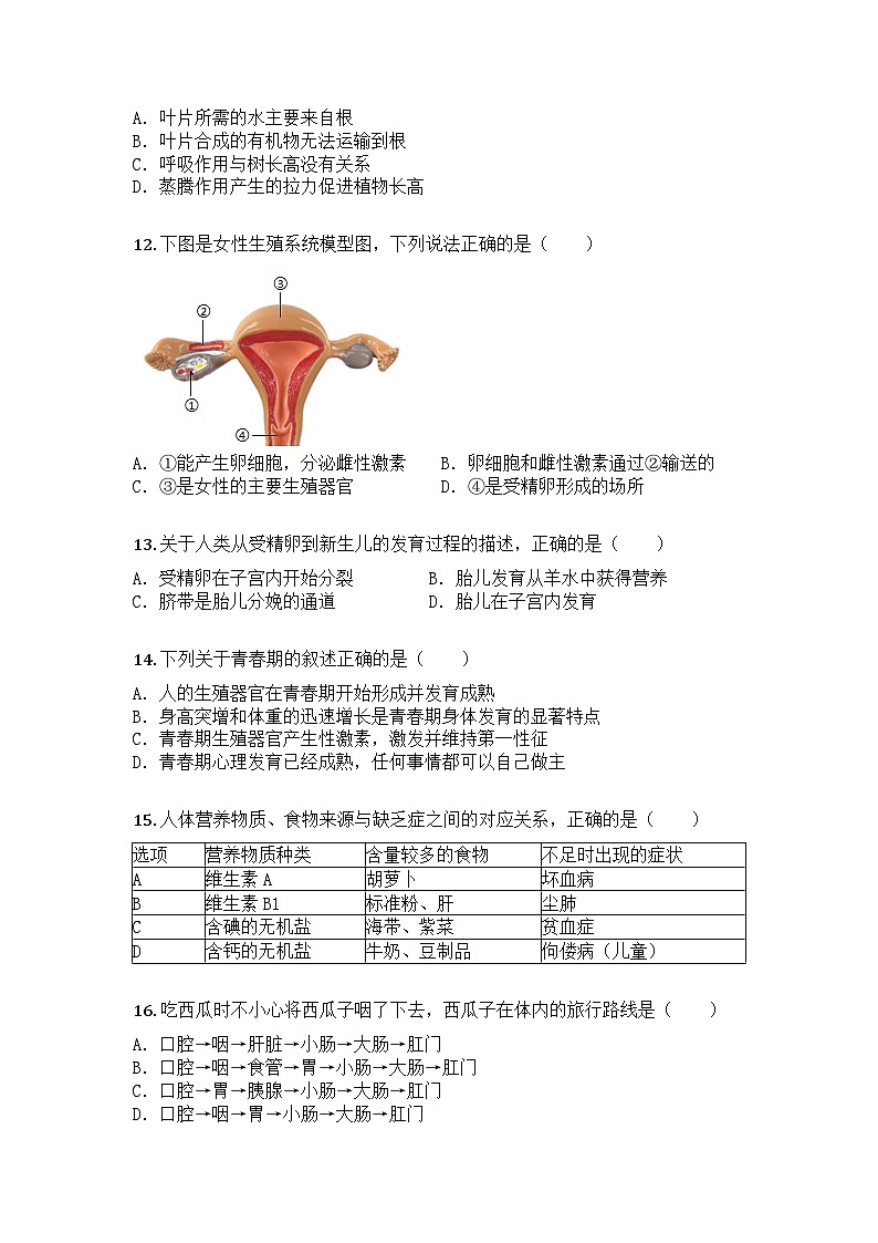 河南省信阳市平桥区2024-2025学年七年级下学期期中生物试题第3页