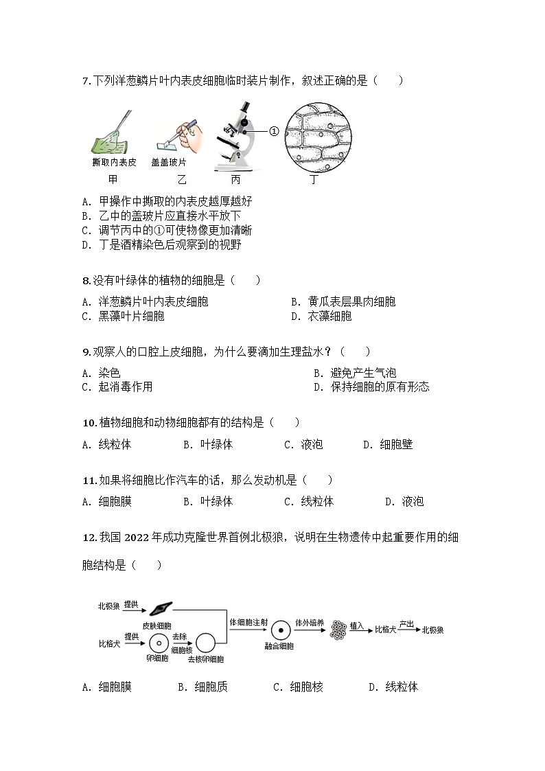 河南省信阳市平桥区2025-2026学年七年级上学期期中生物学试题第2页