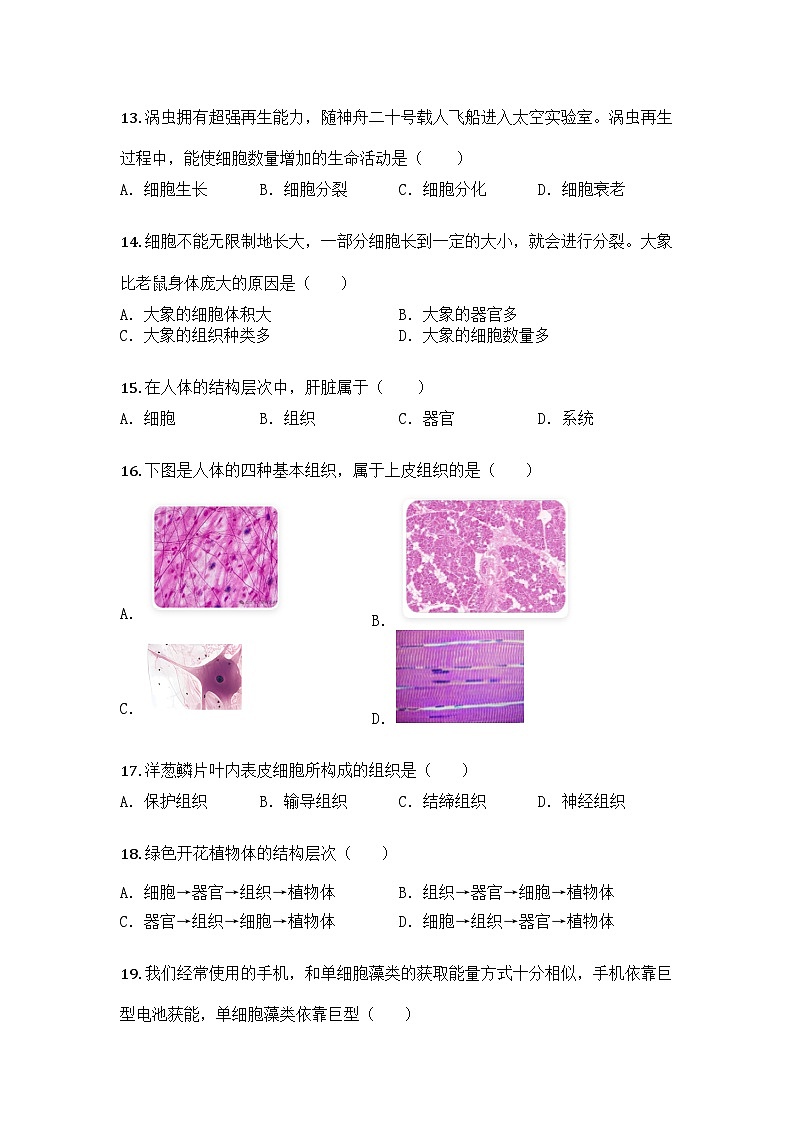 河南省信阳市平桥区2025-2026学年七年级上学期期中生物学试题第3页