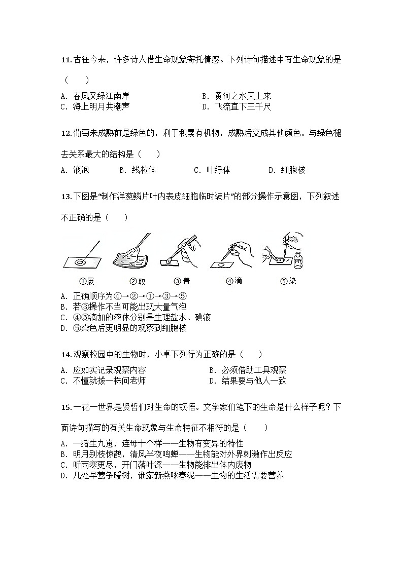 河南省信阳市平桥区龙井乡中心学校2025-2026学年七年级上学期9月月考生物试题第3页