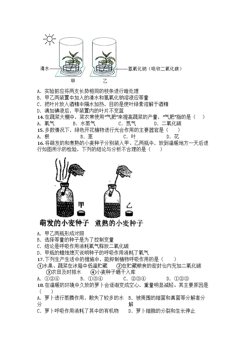 河南省信阳市息县2024-2025学年七年级下学期3月月考生物学试题第3页