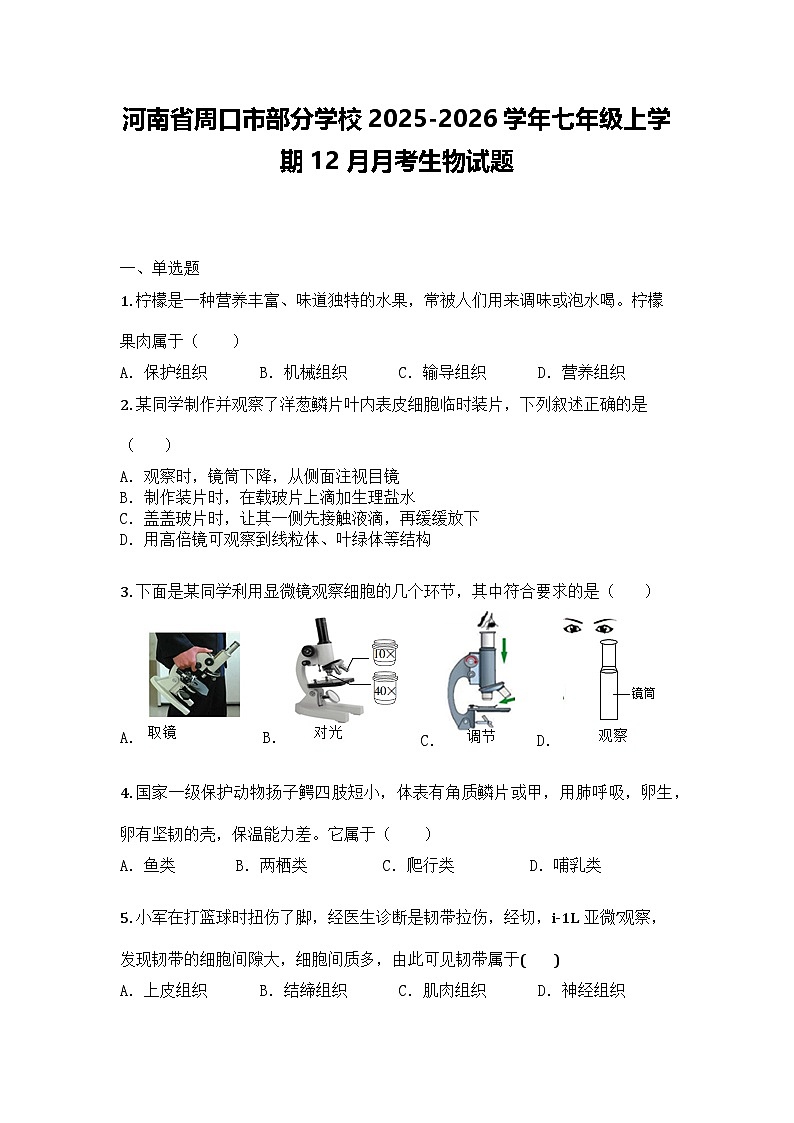 河南省周口市部分学校2025-2026学年七年级上学期12月月考生物试题第1页