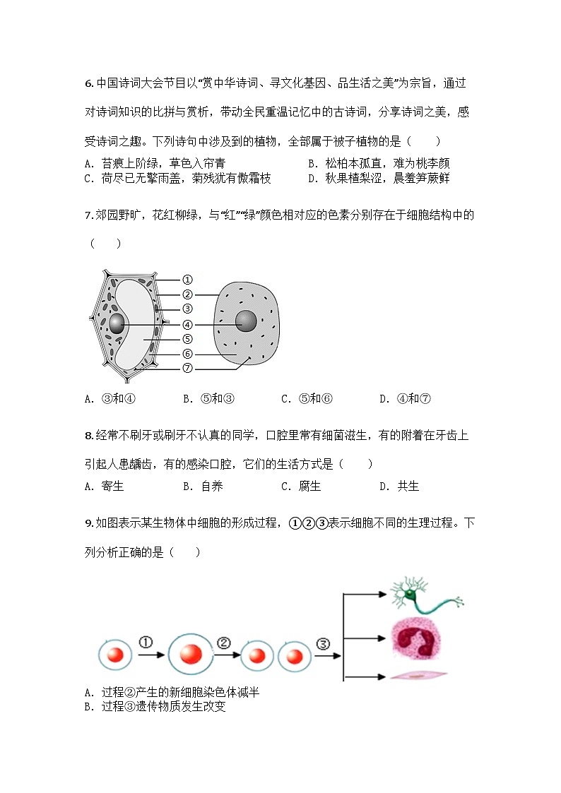 河南省周口市部分学校2025-2026学年七年级上学期12月月考生物试题第2页