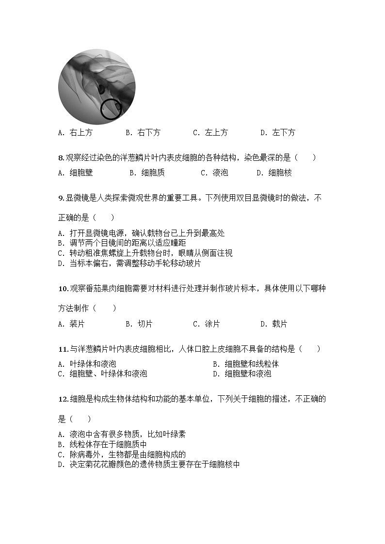 河南省周口市郸城县实验中学2025-2026学年七年级上学期期中生物学试题第2页
