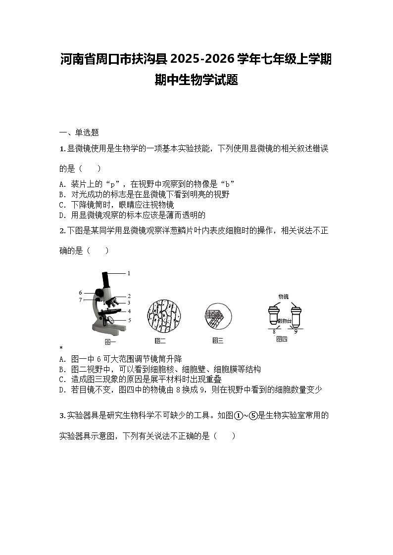 河南省周口市扶沟县2025-2026学年七年级上学期期中生物学试题第1页