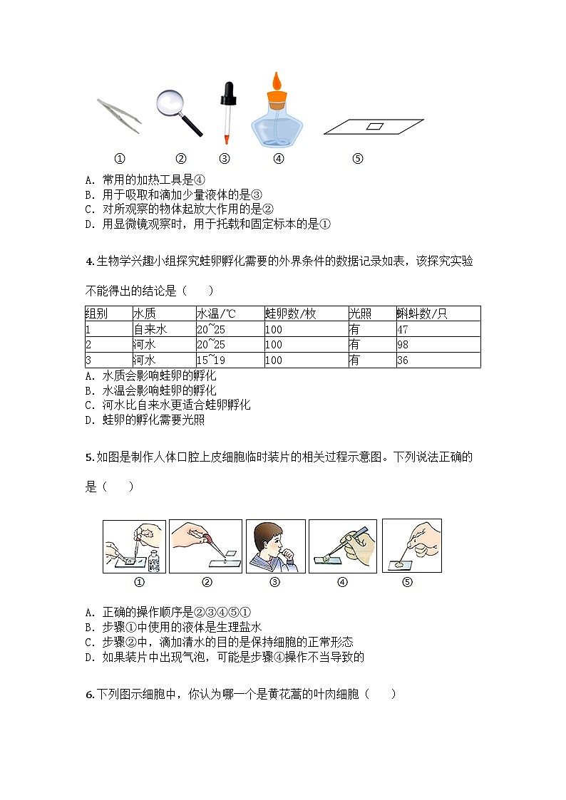 河南省周口市扶沟县2025-2026学年七年级上学期期中生物学试题第2页
