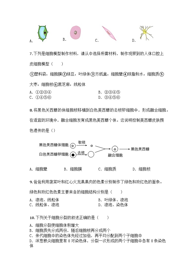 河南省周口市扶沟县2025-2026学年七年级上学期期中生物学试题第3页