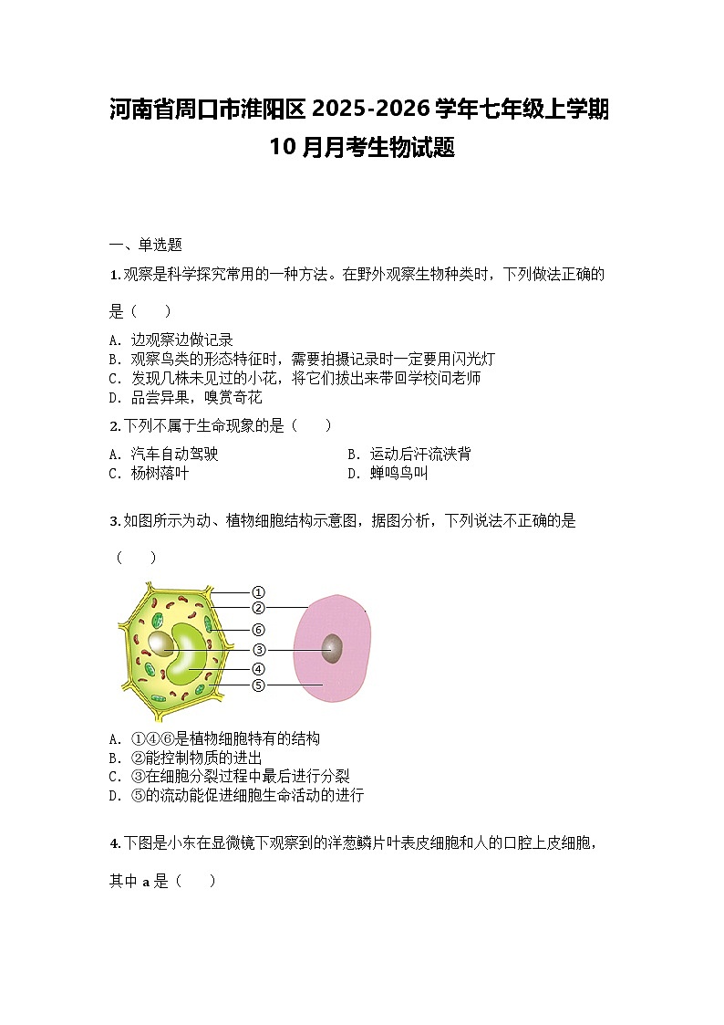 河南省周口市淮阳区2025-2026学年七年级上学期10月月考生物试题第1页