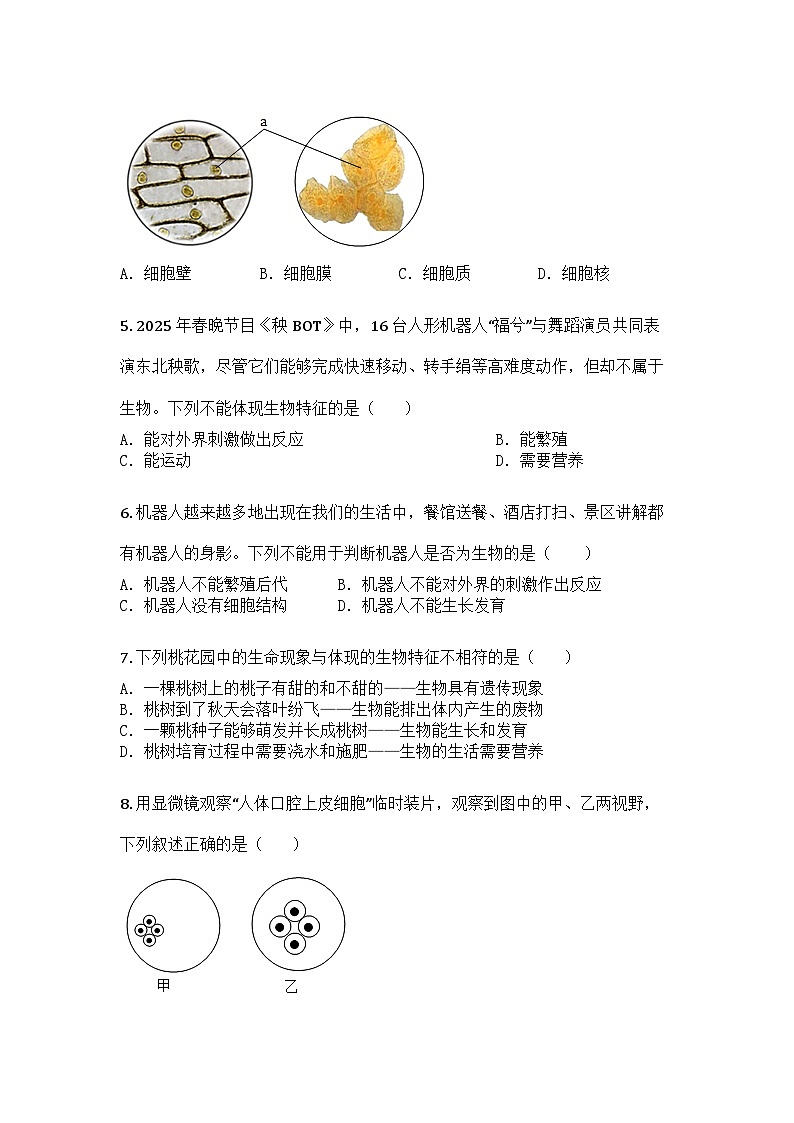 河南省周口市淮阳区2025-2026学年七年级上学期10月月考生物试题第2页