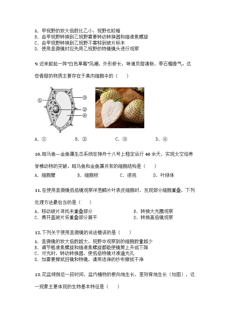 河南省周口市淮阳区2025-2026学年七年级上学期10月月考生物试题第3页