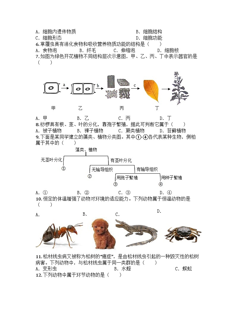 河南省周口市淮阳区部分学校2025-2026学年七年级上学期12月月考生物试题第2页
