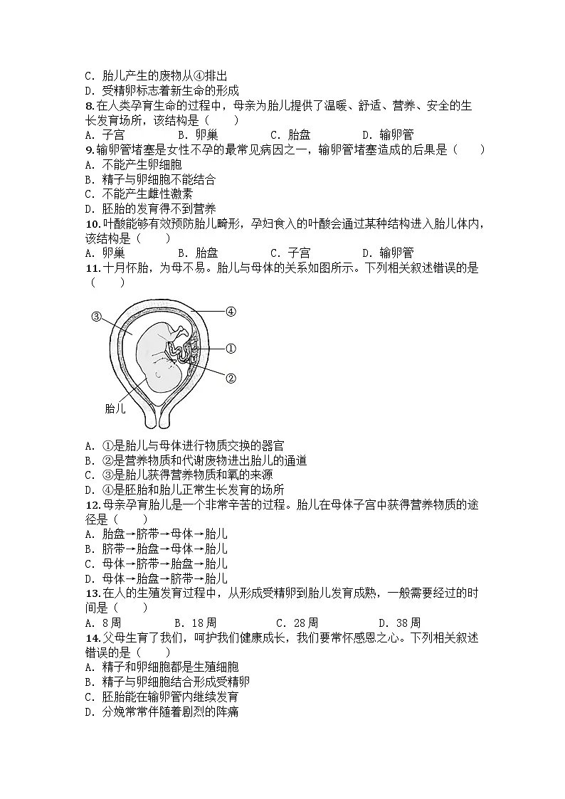 河南省周口市商水县2024-2025学年七年级下学期期中生物试题第2页