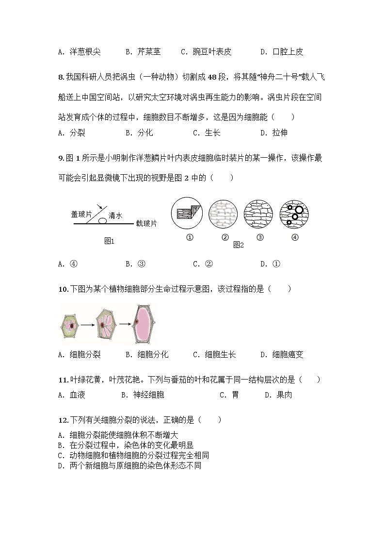 河南省周口市商水县2025-2026学年七年级上学期期中生物学试题第3页