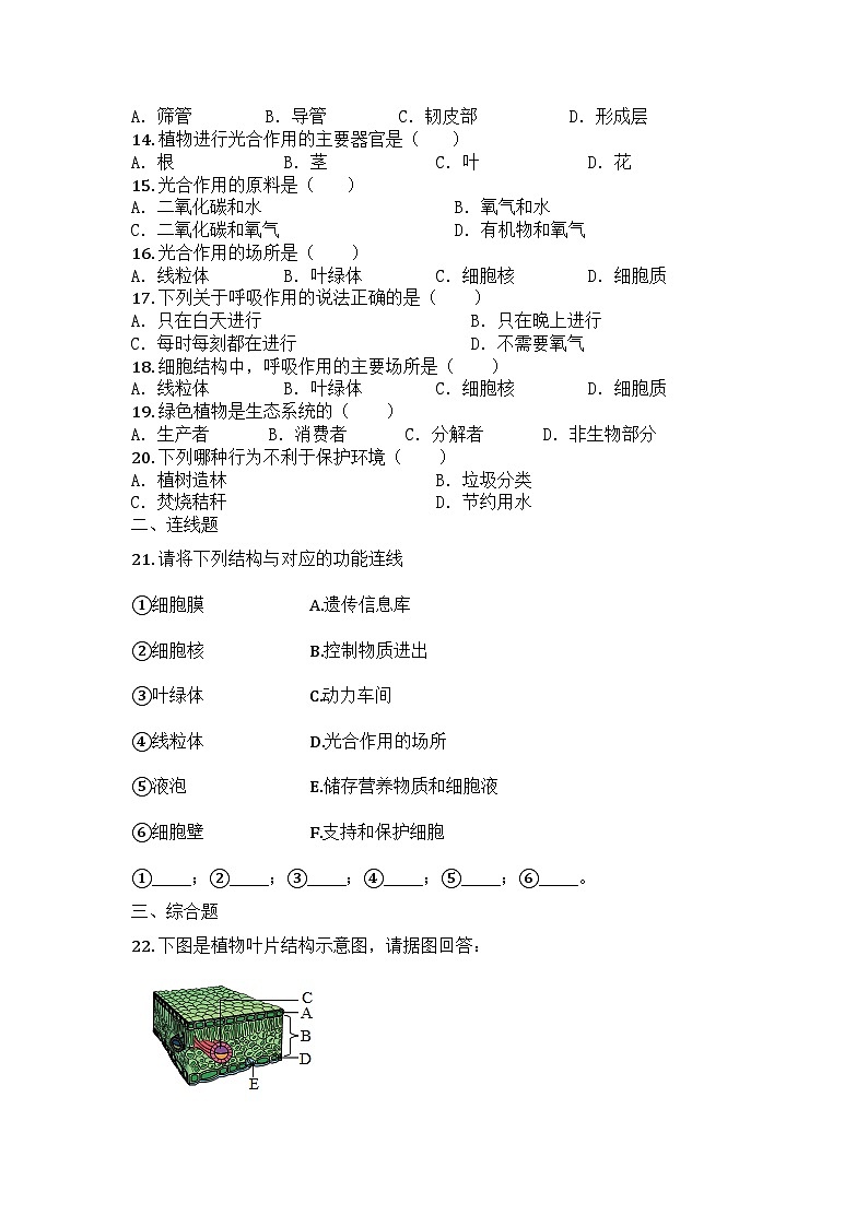 河南省周口市商水县两校联考2025-2026学年七年级上学期12月月考生物试题第2页