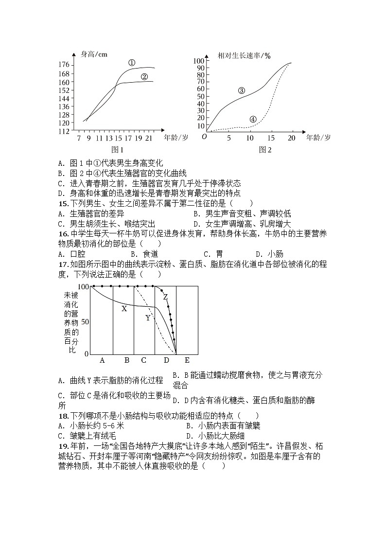 河南省周口市沈丘县2024-2025学年七年级下学期期中生物试题第3页