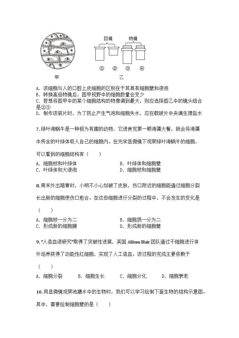 河南省周口市西华县2025-2026学年七年级上学期期中生物学试题第2页
