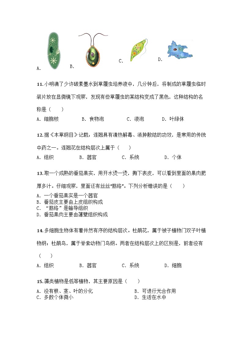 河南省周口市西华县2025-2026学年七年级上学期期中生物学试题第3页