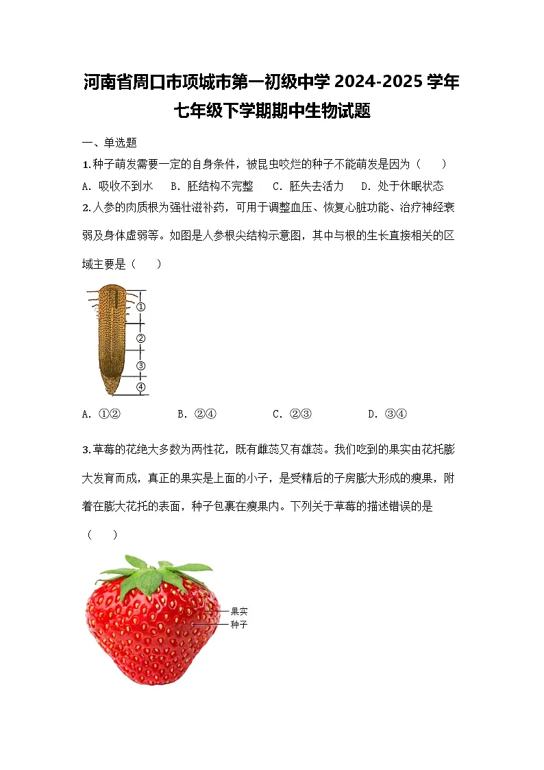 河南省周口市项城市第一初级中学2024-2025学年七年级下学期期中生物试题第1页
