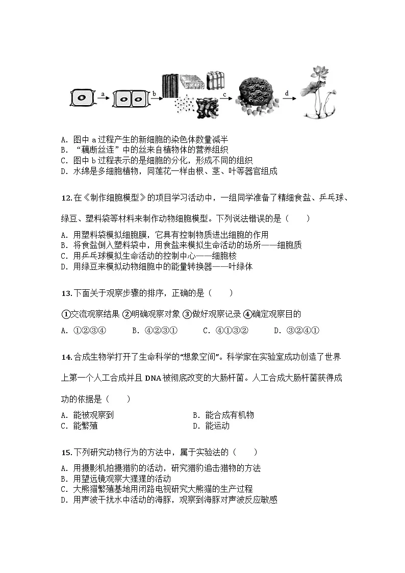 河南省周口市项城市王明口三中2025-2026学年七年级上学期期中生物学试题第3页