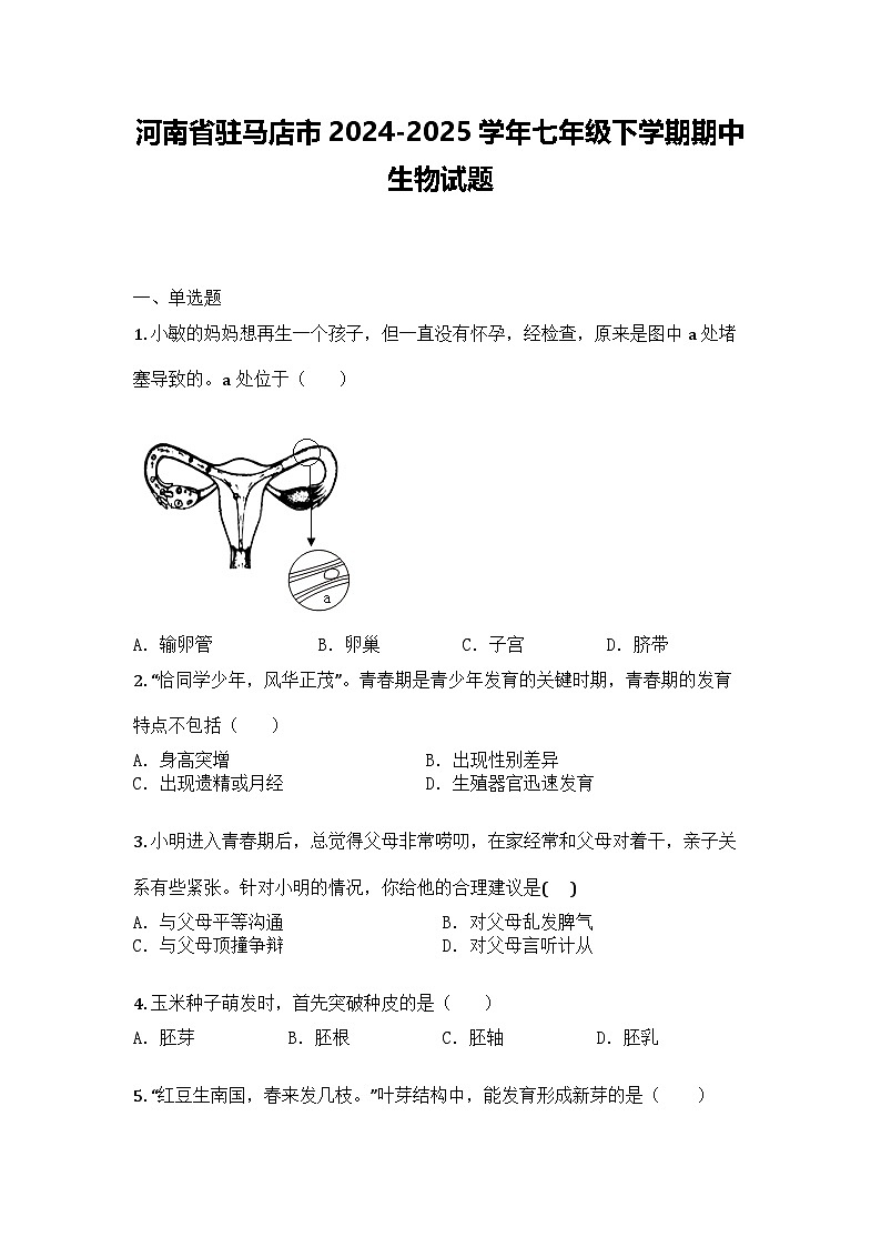 河南省驻马店市2024-2025学年七年级下学期期中生物试题第1页