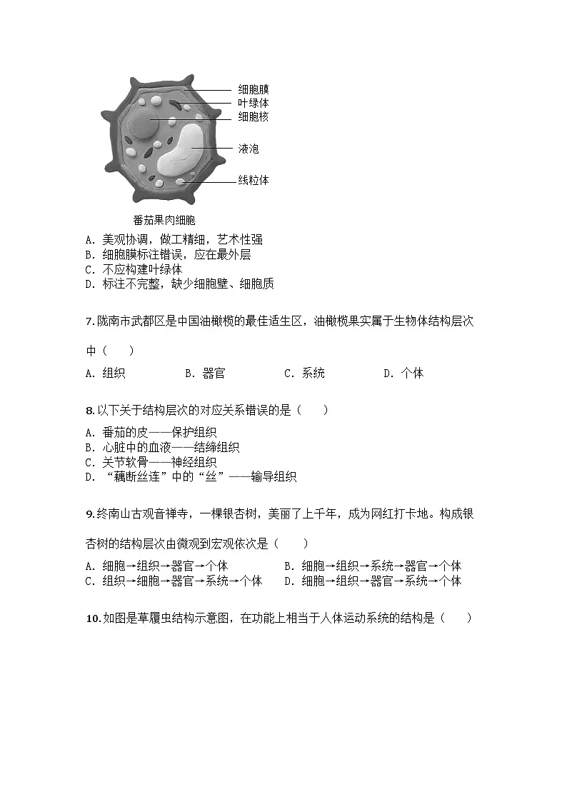河南省驻马店市第二初级中学2025-2026学年七年级上学期期中生物学试题第2页