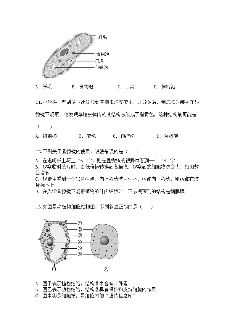 河南省驻马店市第二初级中学2025-2026学年七年级上学期期中生物学试题第3页