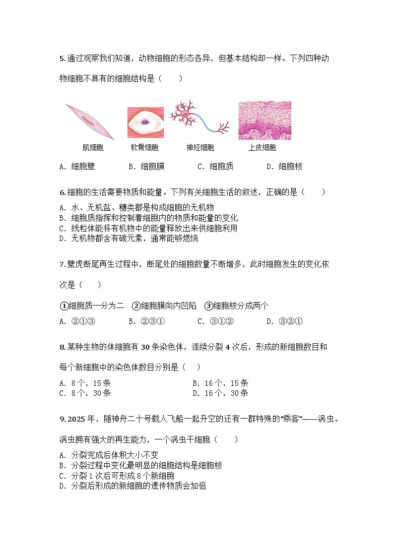 河南省驻马店市汝南县清华园学校、双语学校联考2025-2026学年七年级上学期期中生物试题第2页