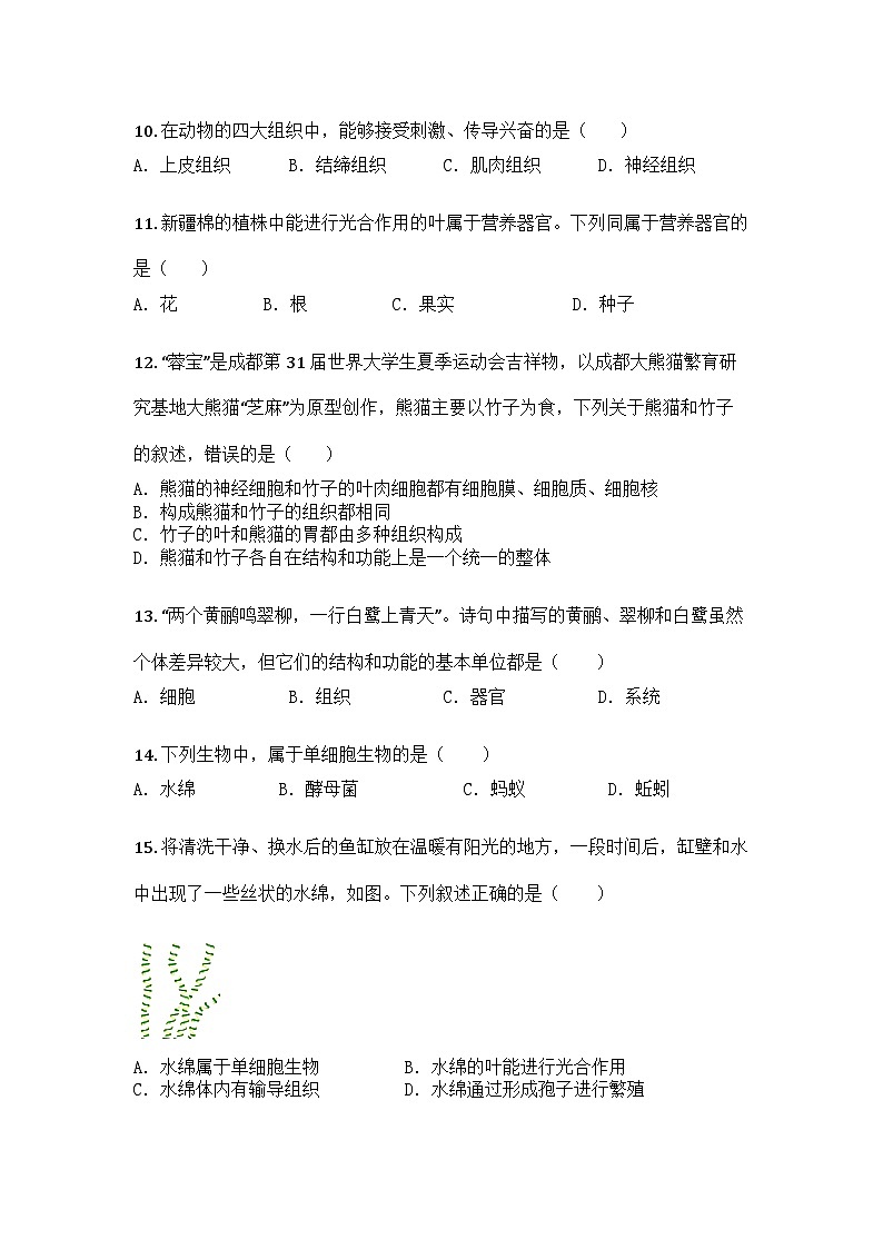 河南省驻马店市汝南县清华园学校、双语学校联考2025-2026学年七年级上学期期中生物试题第3页