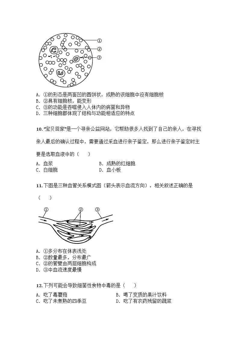 河南省驻马店市西平县2024-2025学年七年级下学期期中生物试题第3页