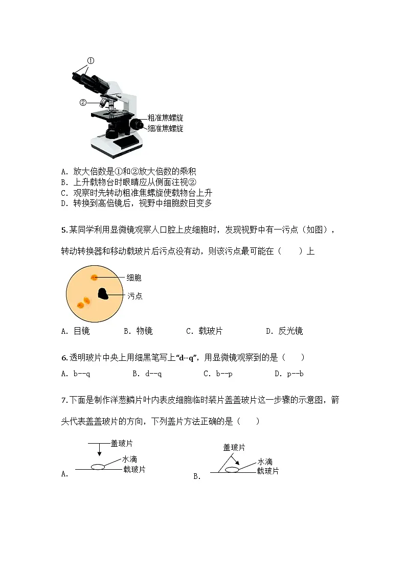 河南省驻马店市驿城区第四中学2025-2026学年七年级上学期期中生物试题第2页