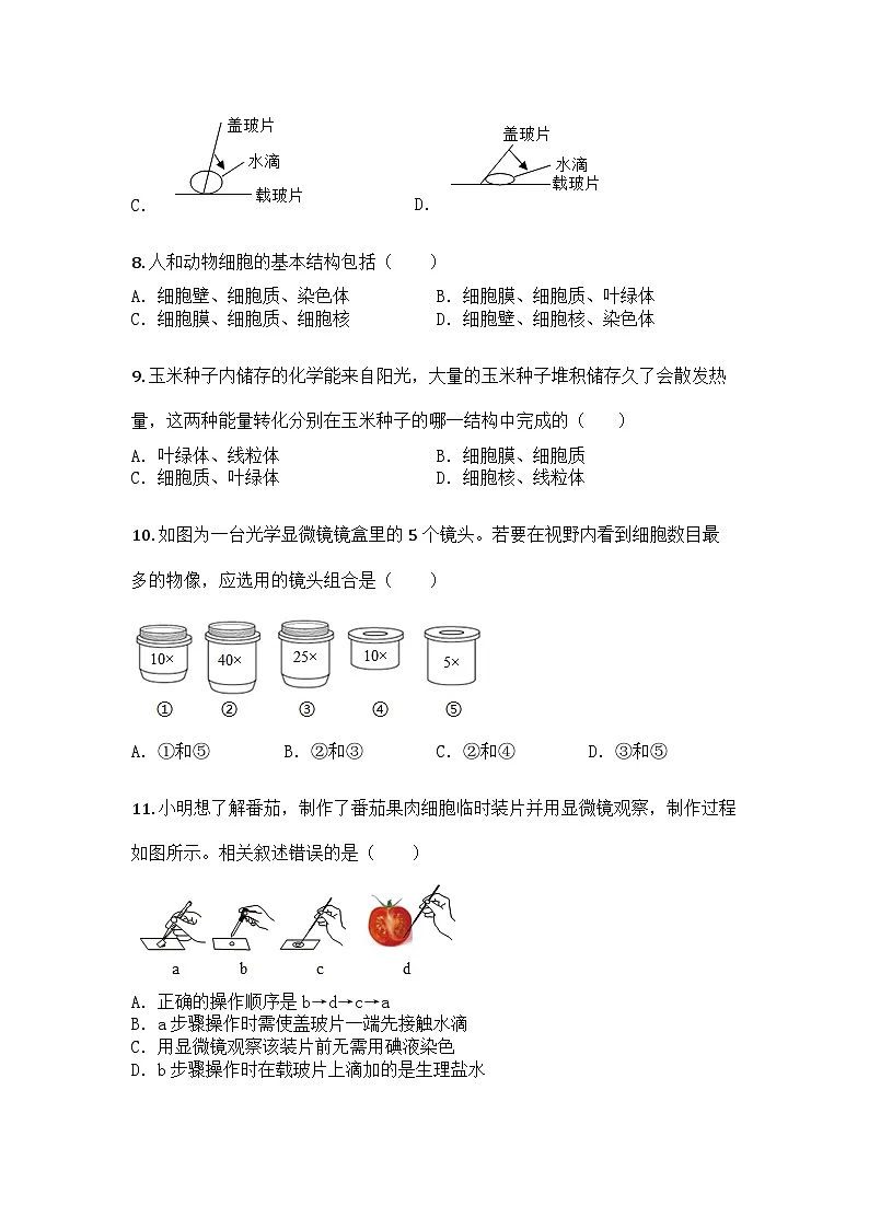 河南省驻马店市驿城区第四中学2025-2026学年七年级上学期期中生物试题第3页