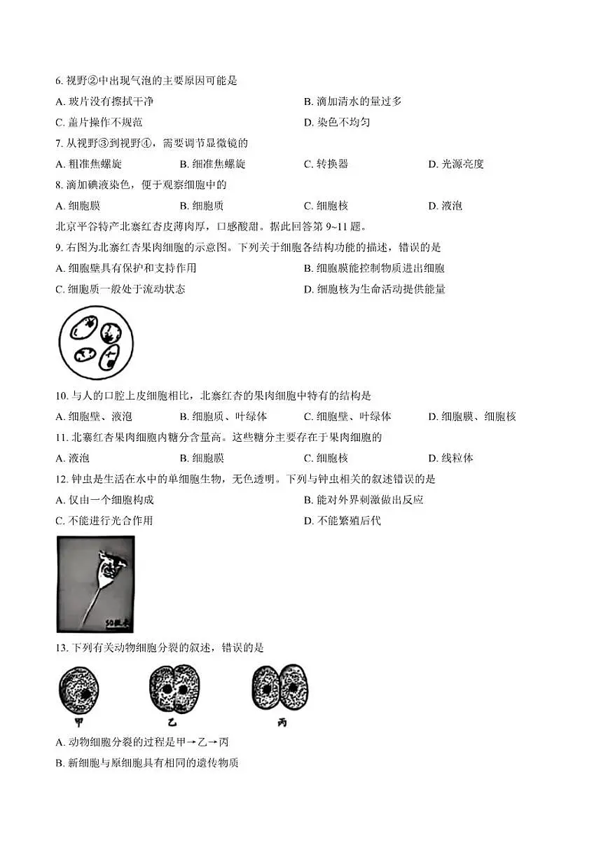 2025-2026学年北京市朝阳区上学期期末七年级生物（含答案）试卷第2页