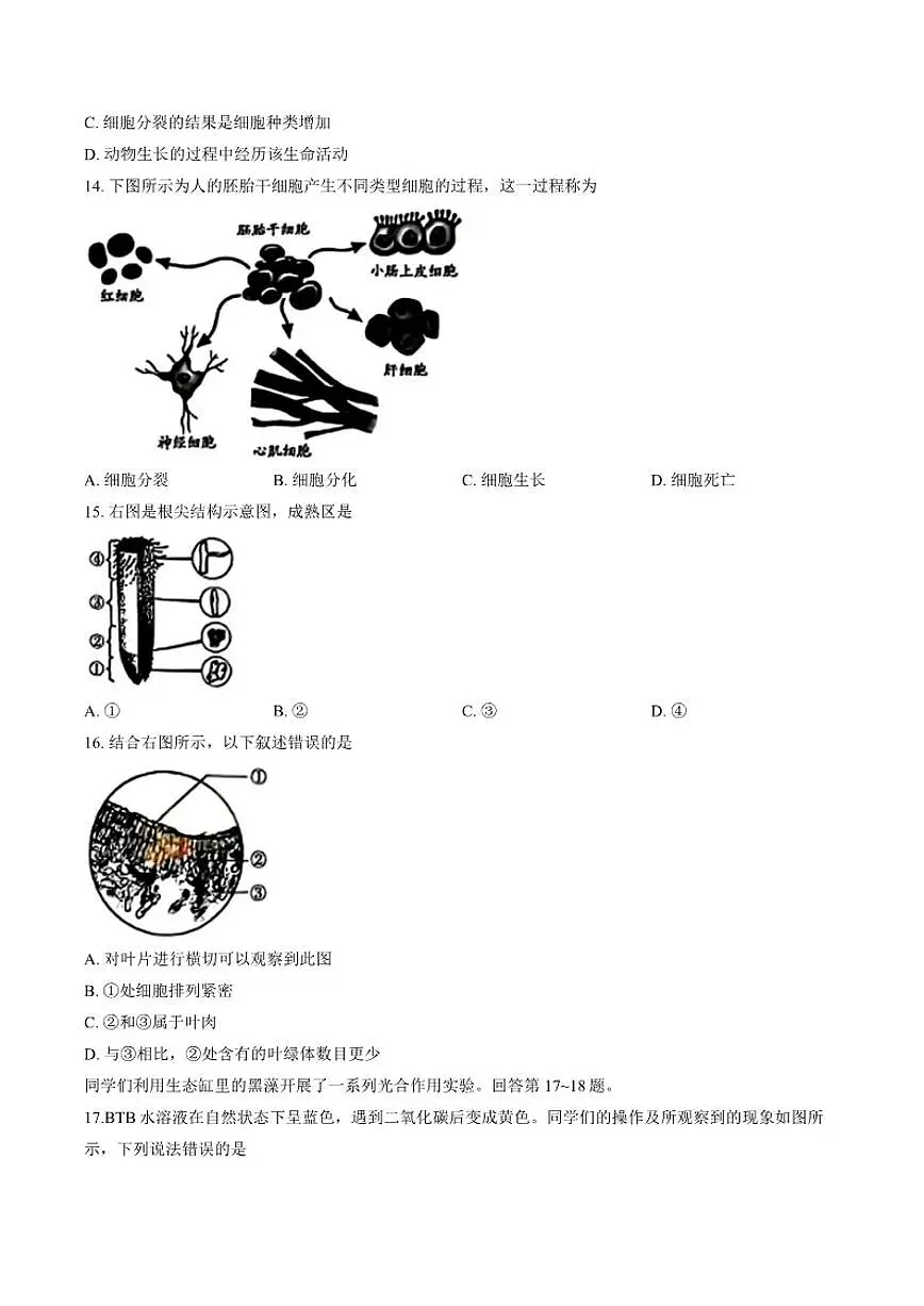 2025-2026学年北京市朝阳区上学期期末七年级生物（含答案）试卷第3页