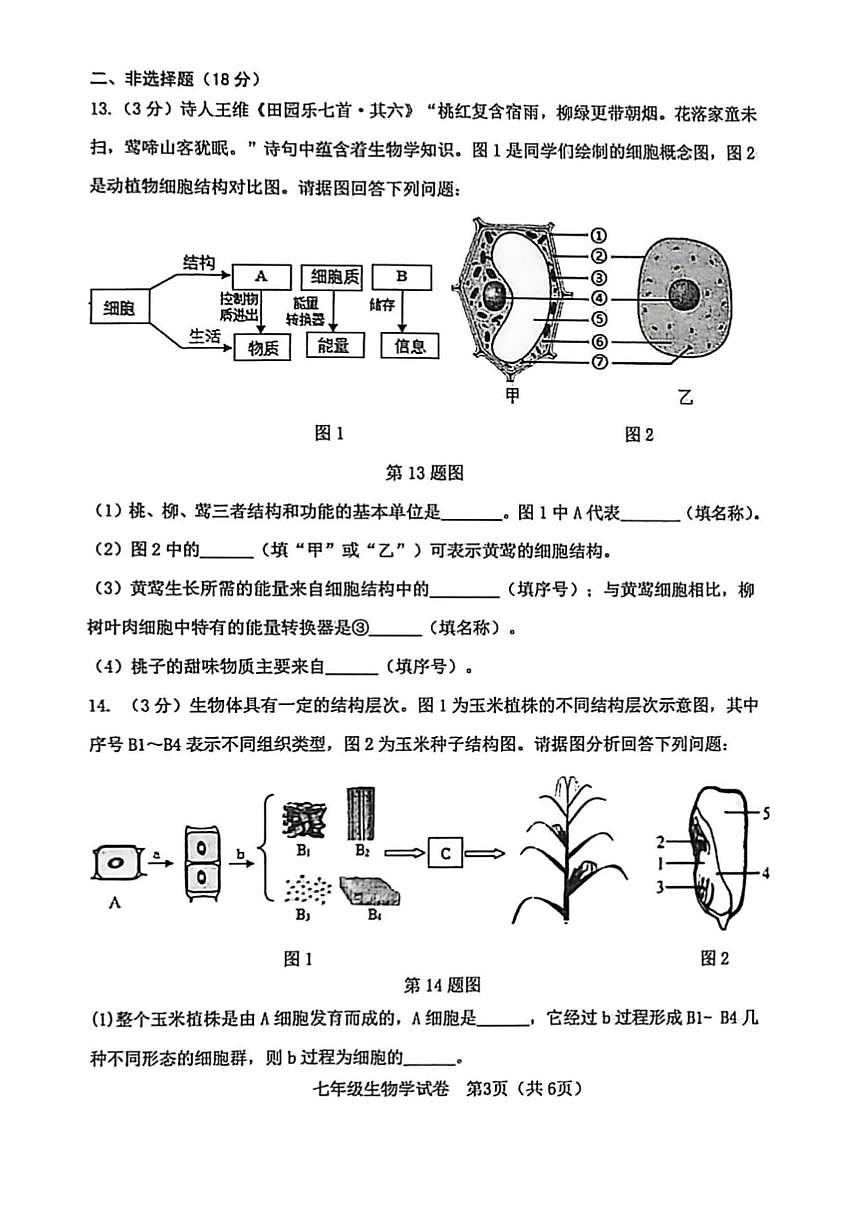 辽宁省大连市金普新区2025-2026学年第一学期七年级生物期末试卷（无答案）第3页
