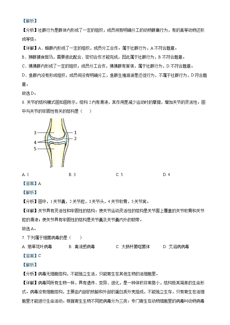 福建省福建师大泉州附属中学八年级上学期期中生物试题（解析版）-A4第3页