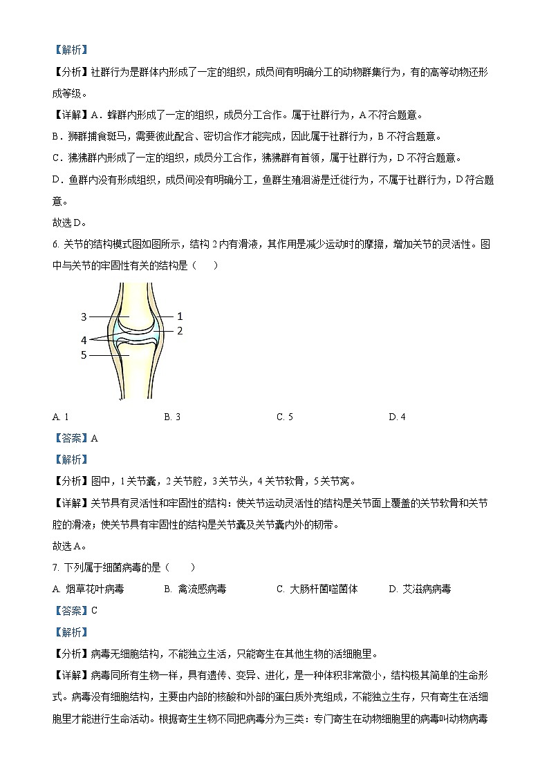 福建省福建师大泉州附属中学八年级上学期期中生物试题（解析版）-A4第3页