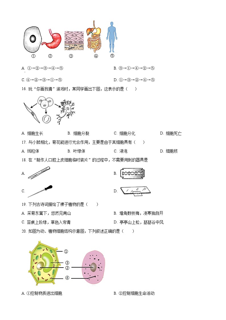 福建省莆田市涵江区第二片区七年级上学期期中生物学试题（原卷版）-A4第3页