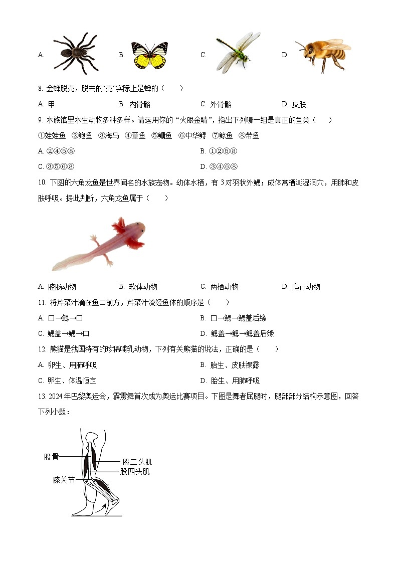 福建省宁德市霞浦县八年级上学期期中生物学试题（原卷版）-A4第2页