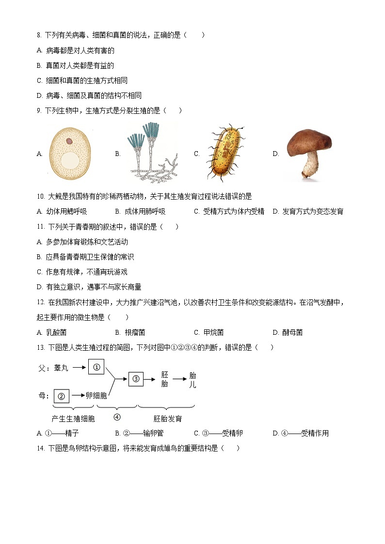 福建省福建师大泉州附属中学八年级上学期期中生物试题（原卷版）-A4第2页