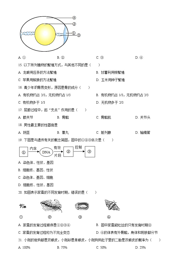 福建省福建师大泉州附属中学八年级上学期期中生物试题（原卷版）-A4第3页
