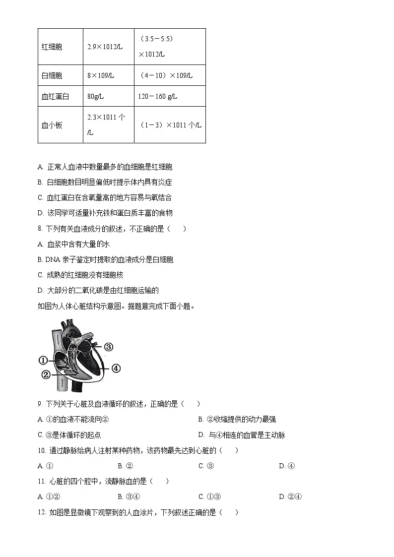 福建省晋江市七年级下学期期中生物试题-A4第2页