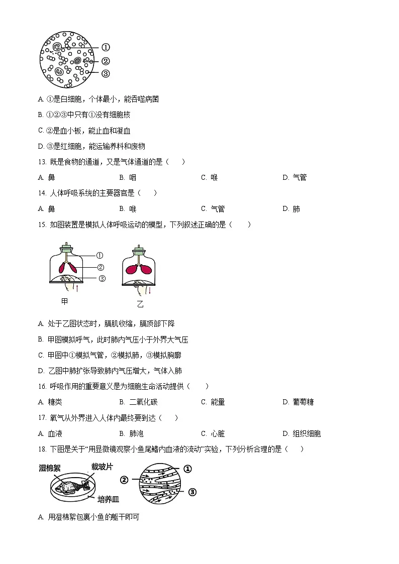 福建省晋江市七年级下学期期中生物试题-A4第3页