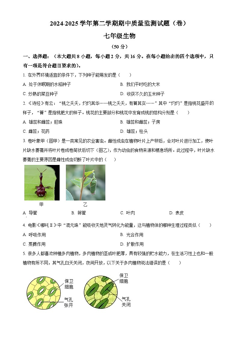 甘肃省平凉市2024-2025学年七年级下学期期中生物试题-A4第1页