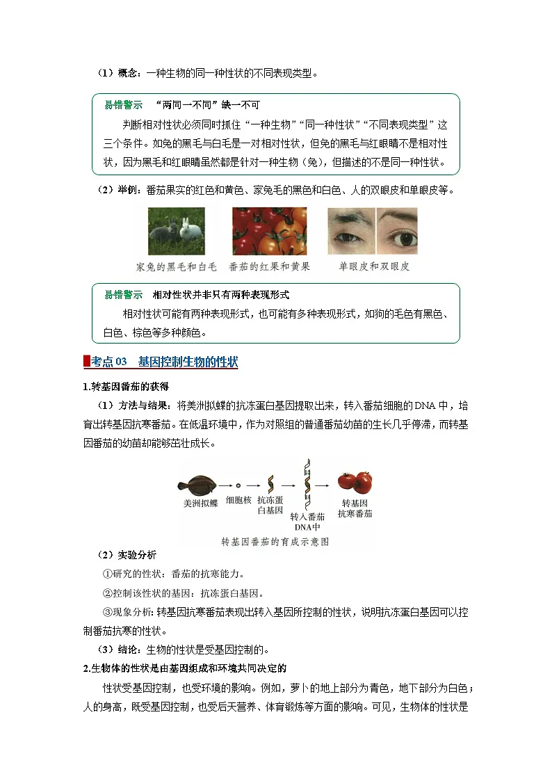 专题18 生物的遗传和进化（word）2026年中考生物人教版中考一轮复习讲义知识清单+习题（原卷版）第2页