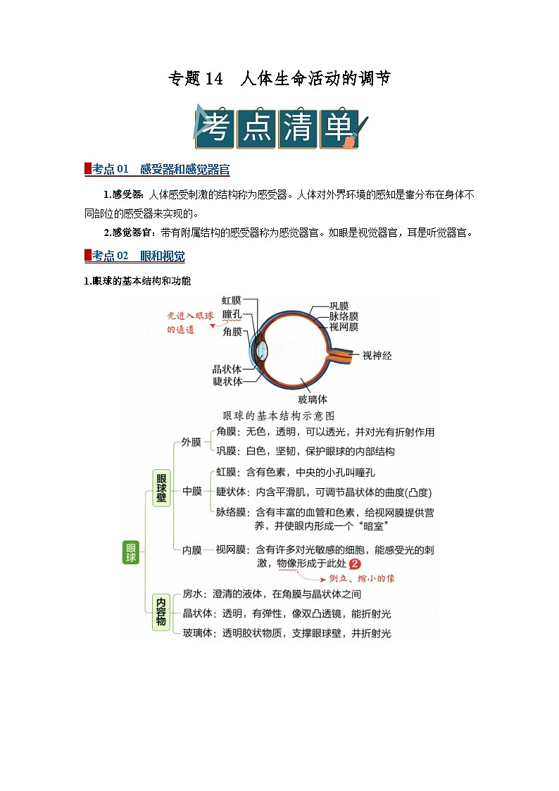 专题14 人体生命活动的调节（word） 2025-2026学年初中生物人教版2024一轮复习讲义知识清单+习题（原卷版）第1页