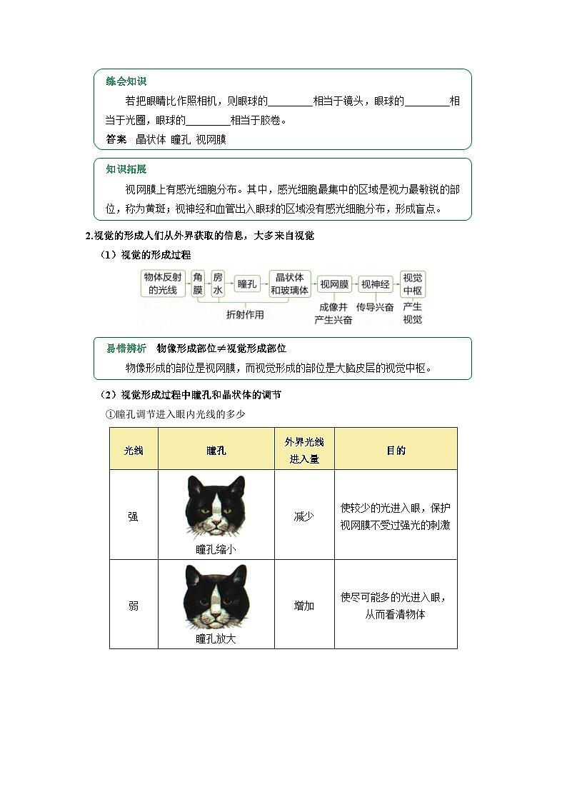 专题14 人体生命活动的调节（word） 2025-2026学年初中生物人教版2024一轮复习讲义知识清单+习题（原卷版）第2页