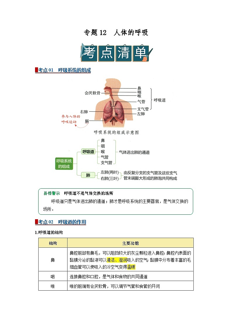专题12 人体的呼吸（word） 2025-2026学年初中生物人教版2024一轮复习讲义（原卷版）第1页
