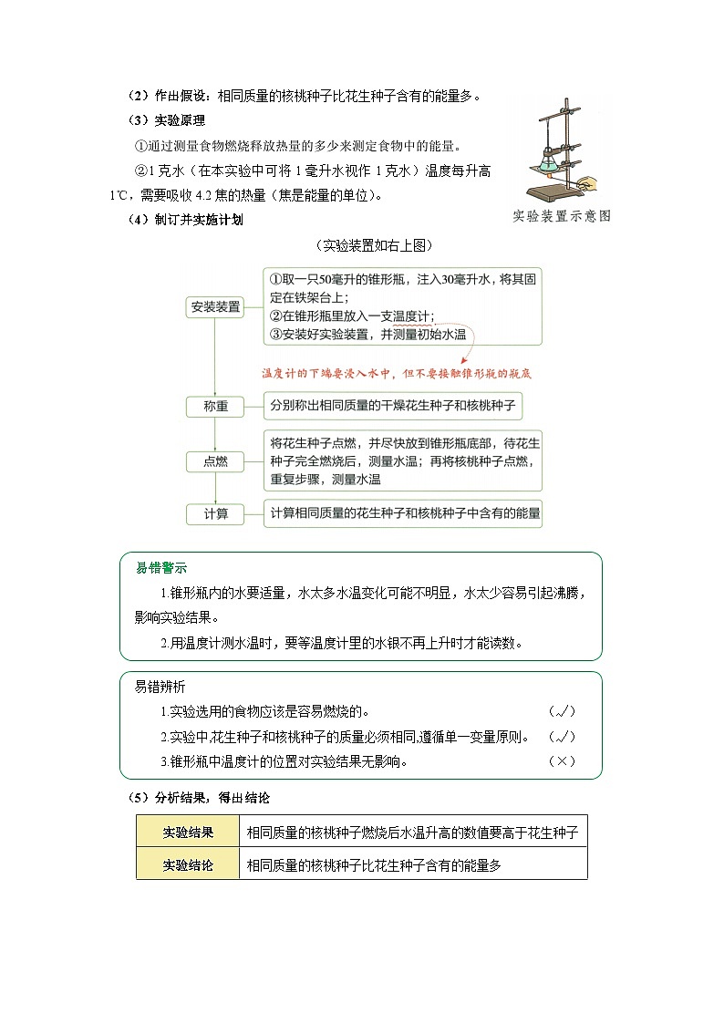 专题11 人体的营养（word） 2025-2026学年初中生物人教版2024一轮复习讲义（原卷版）第2页