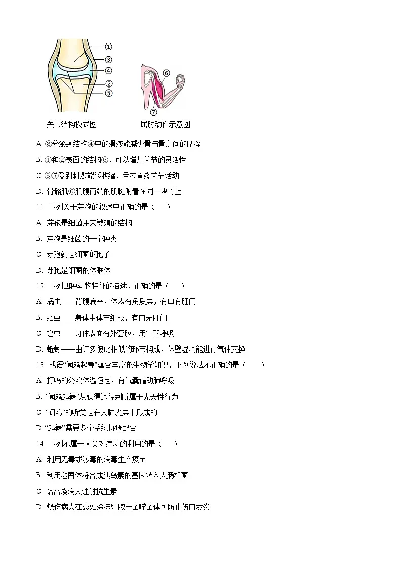 精品解析：四川省安岳中学2024-2025学年八年级上学期期末生物试题（原卷版）第3页