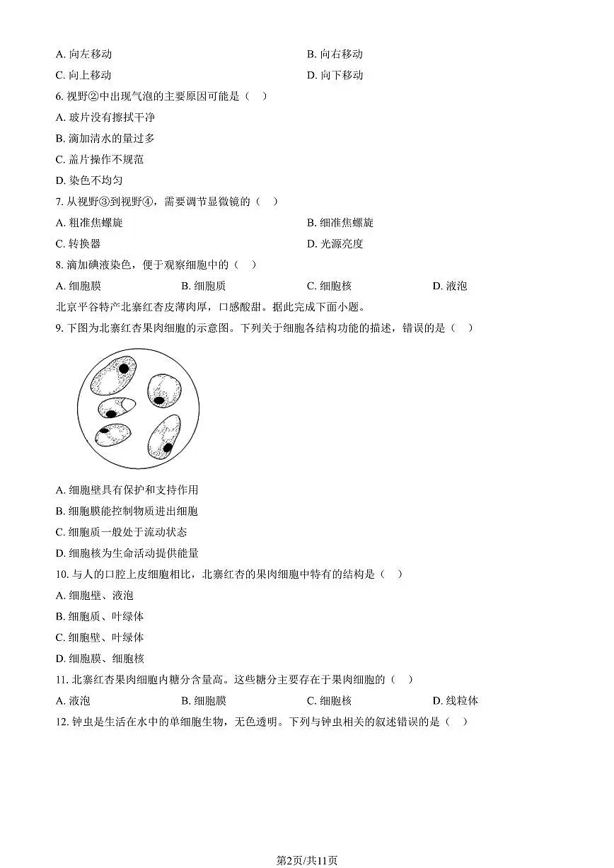 北京市朝阳区2025-2026学年第一学期七年级生物期末试卷（含答案）第2页